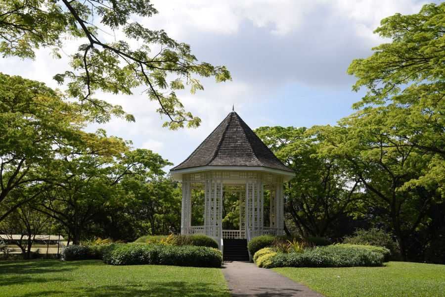 Ogrody botaniczne w Singapurze / Singapore Botanic Gardens