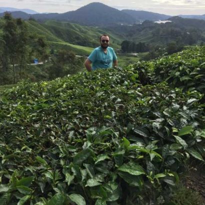 Wzgórza herbaciane w Cameron Highlands