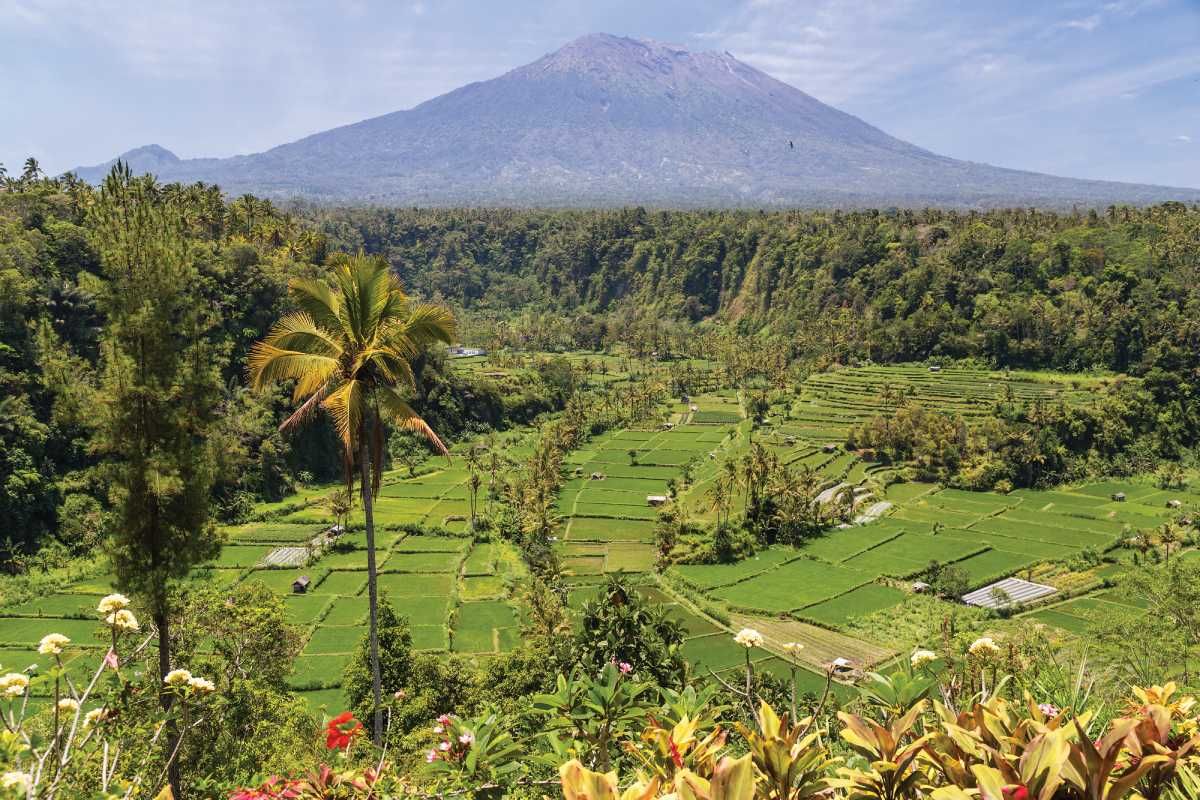 Bali widok pola ryżowe wulkan Indoenzja wczasywazji