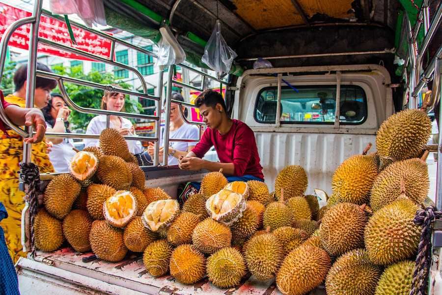 Durian - król owoców