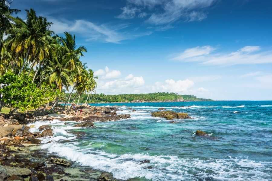 Egzotyczne plaże Sri Lanki
