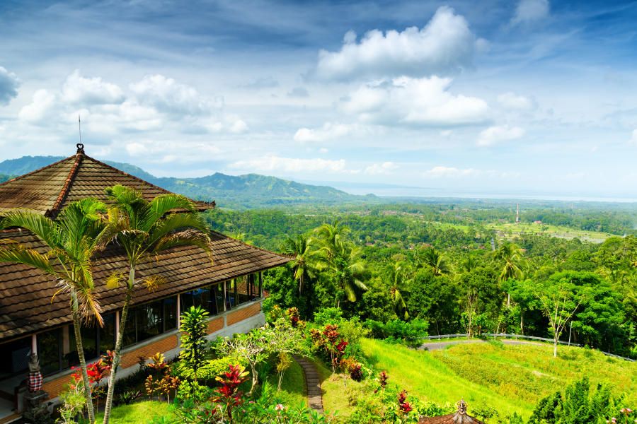 Zielone Bali