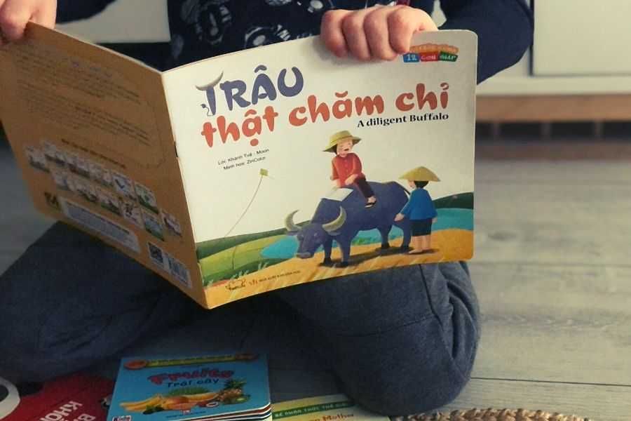 Książeczki wietnamsko-angielskie
