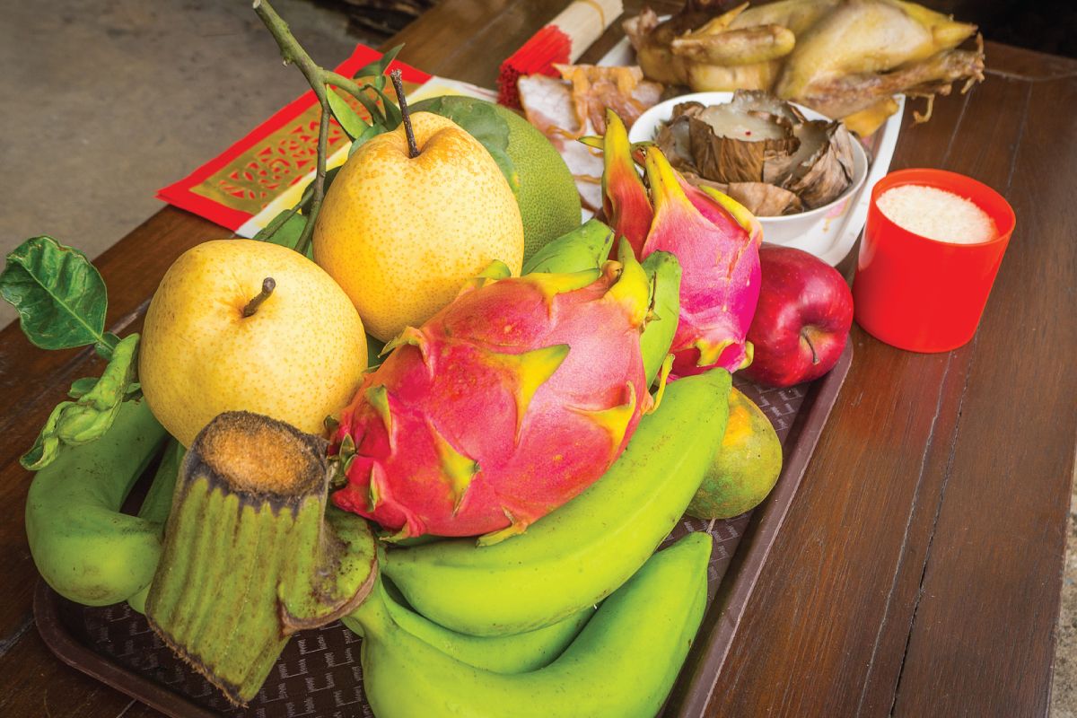 smoczy owoc pitaja dragon fruit