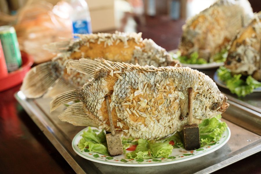 Ryba słoniowe ucho Delta Mekongu Wietnam