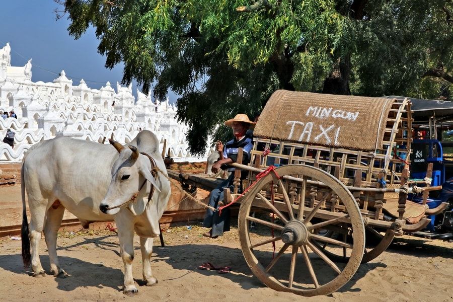 Taksówka z wołem, Birm