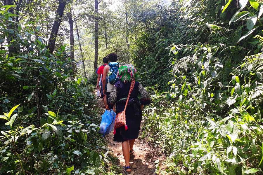 Trekking w Sa Pa - szczepienia przed podróżą do krajów tropikalnych