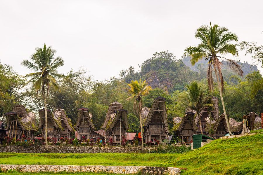 Tradycyjna wioska Tana Toraja na Celebes