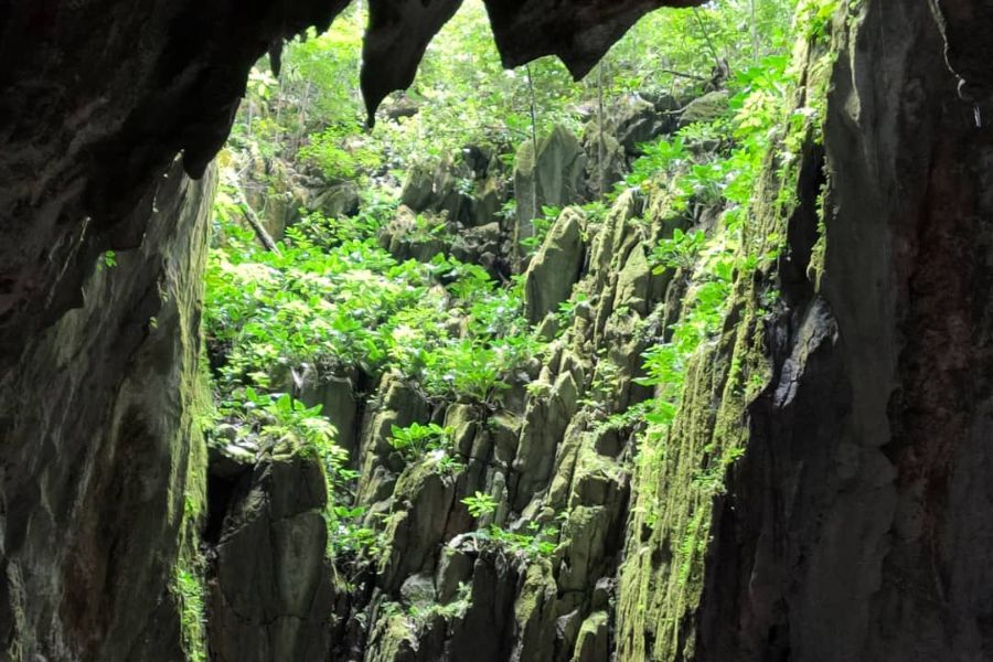 Jaskinie, Borneo