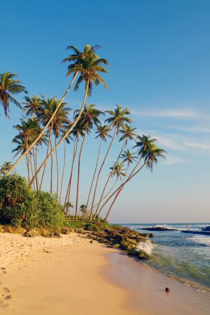 Plaża, Sri Lanka