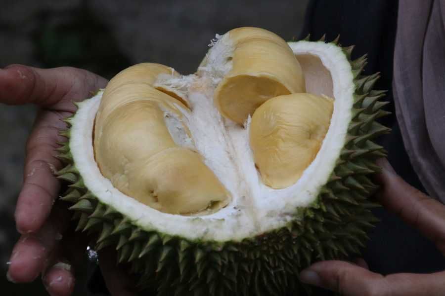 Durian - egzotyczny owoc o specyficznym zapachu