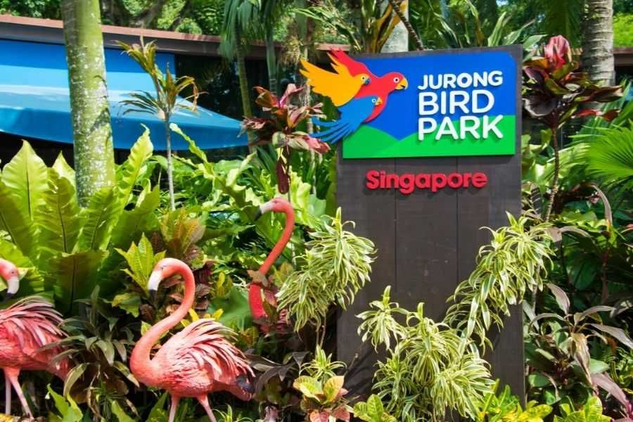 Atrakcje zachodniego Singapuru - Jurong - Park Ptaków