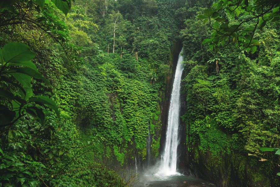 Bali, wodospad