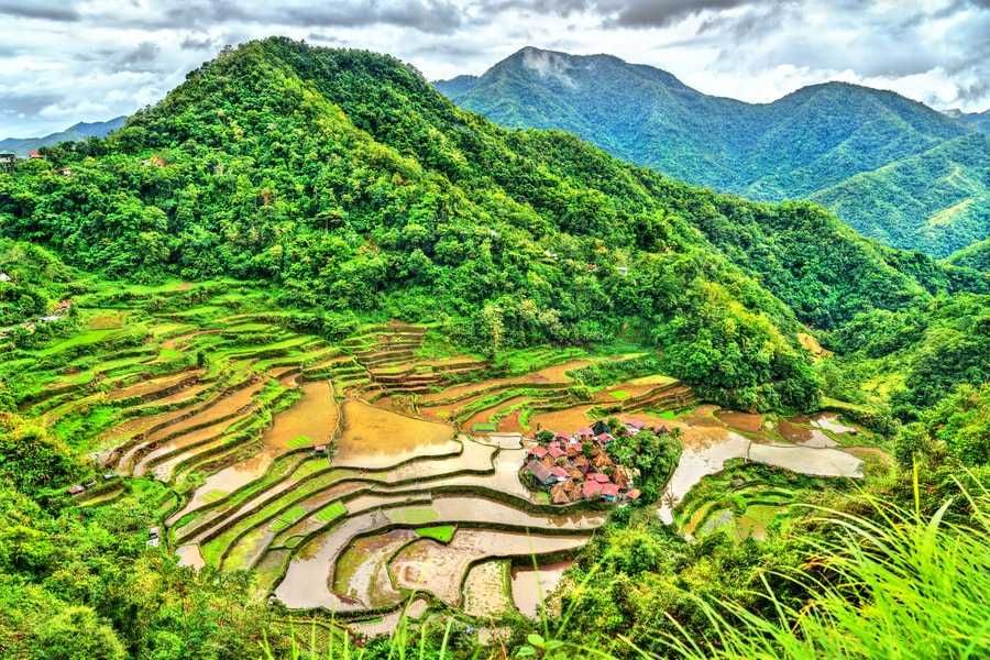 Filipiny tarasy ryżowe wczasywazji luzon wyspa