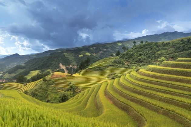 Pola ryżowe Ha Giang