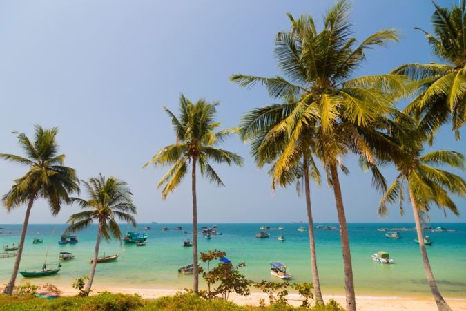 Palmy na plaży, Wietnam
