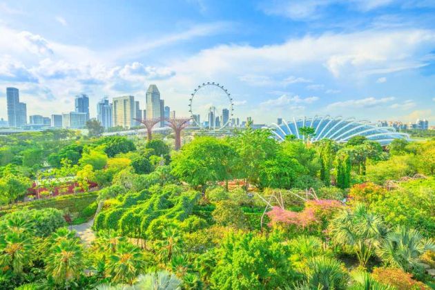 Singapur - miasto zieleni