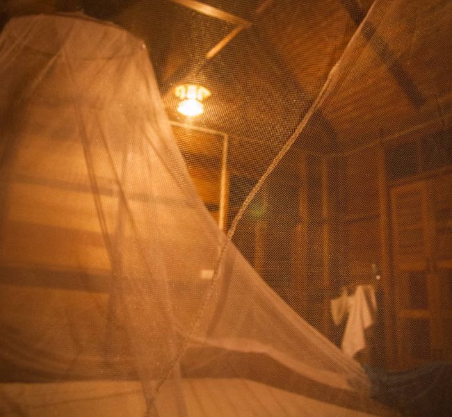 Klimatyczny apartament z moskitierami w Khao Sok