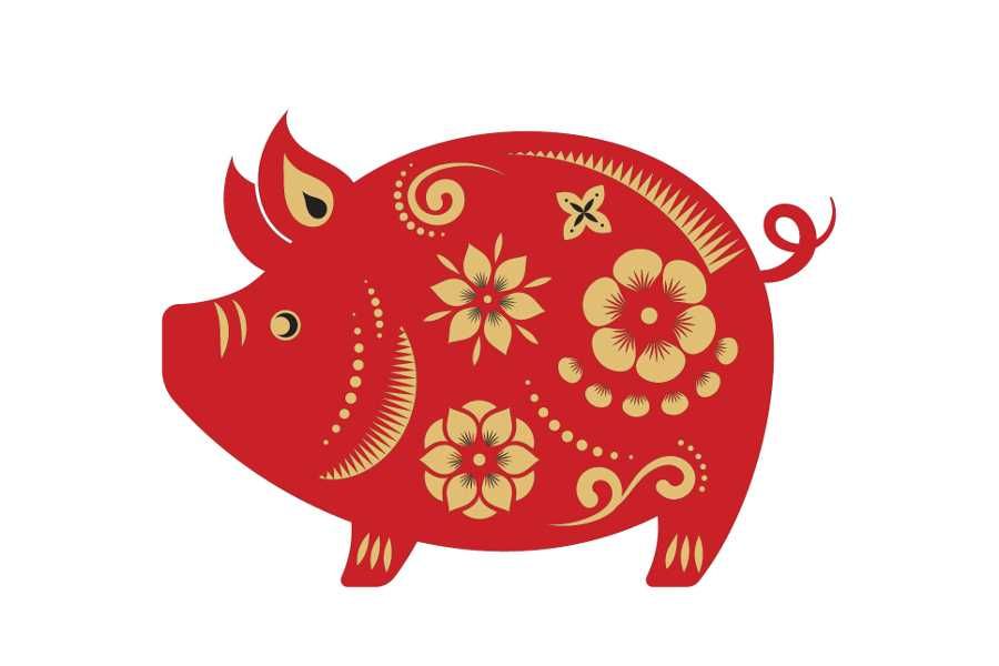 Świnia (horoskop chiński/wietnamski)