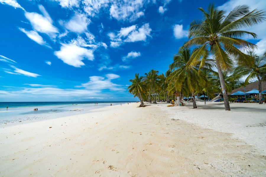 Bohol - białe plaże