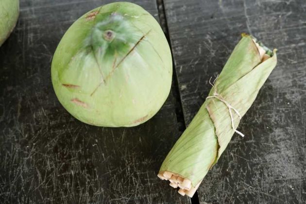 Kokos w Delcie Mekongu