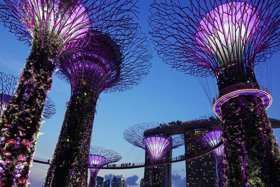 Super Trees w Singapurze