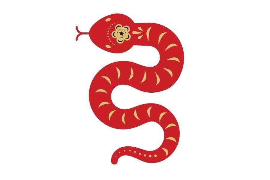 Wąż (horoskop chiński/wietnamski)
