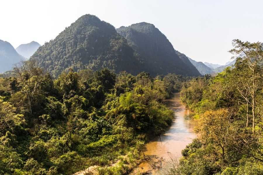 Dżungla w Parku Narodowym Phnom Nha